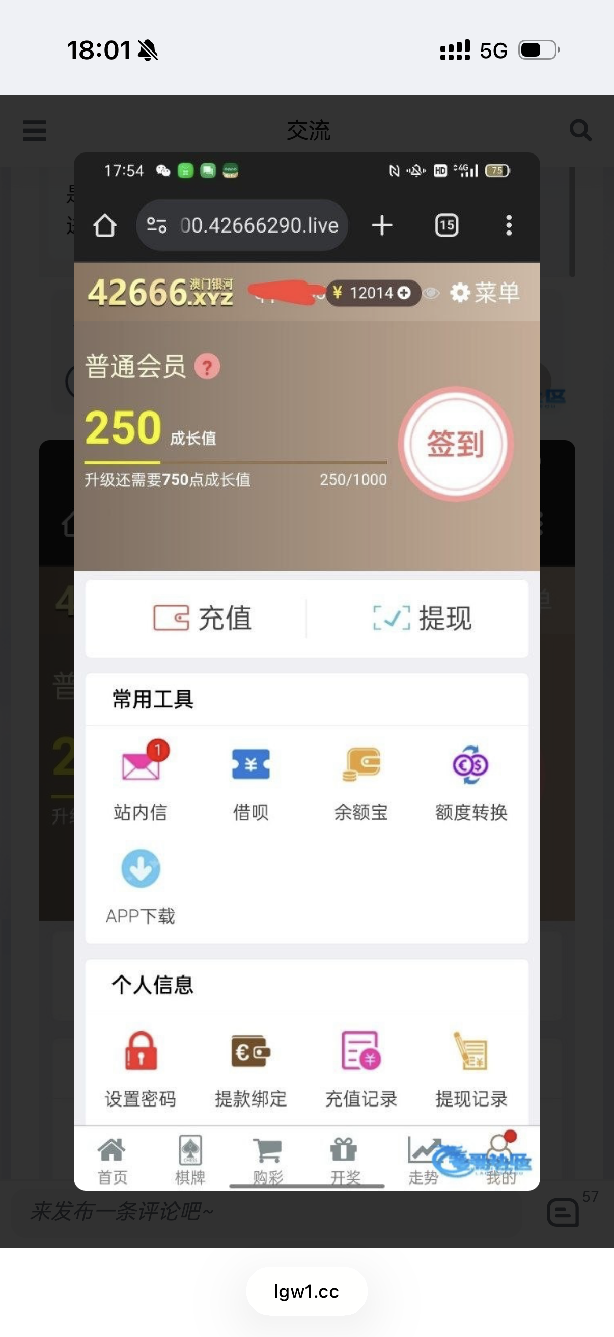 不死鸡